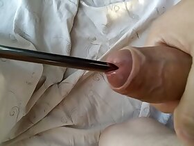 Urethra fuck new penis plug